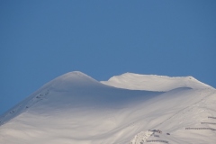 DSC02060.jpg