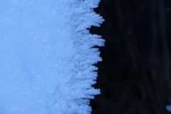 DSC02092.jpg