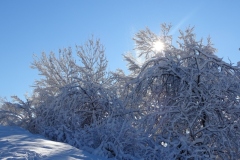 DSC02157.jpg