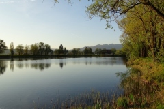 DSC02714.jpg