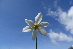 DSC02872.jpg