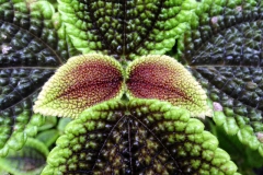 IMG_3676