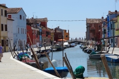 DSC00617.jpg