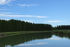DSC00701.jpg