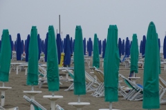 DSC00967.jpg
