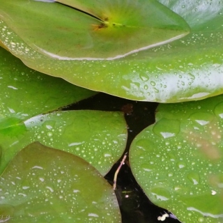 DSC00048.jpg