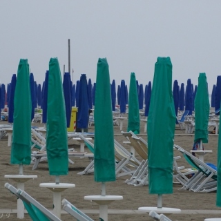 DSC00967.jpg