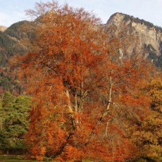 DSC02002.jpg