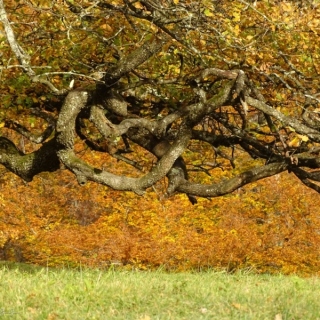 DSC02004.jpg