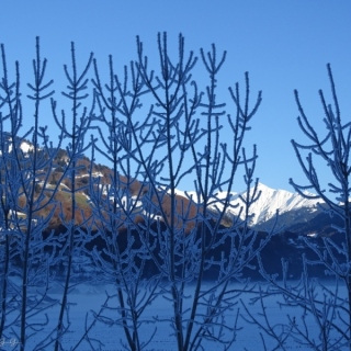 DSC02074.jpg