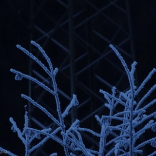 DSC02104.jpg