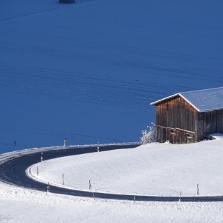 DSC02178.jpg