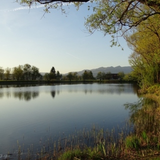 DSC02714.jpg