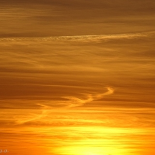 DSC02746.jpg