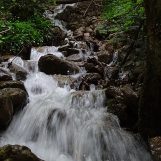DSC02830.jpg