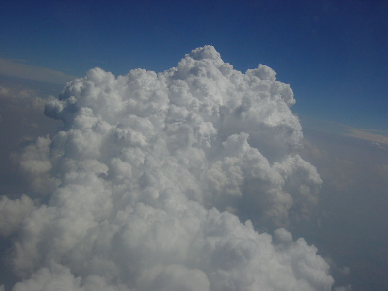 Island_221