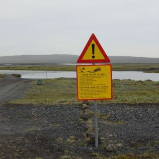 Island_099