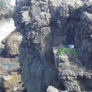Island_137