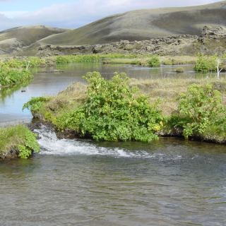 Island_177