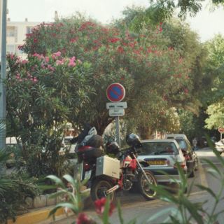 Korsika_20