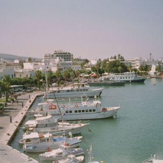 Kos06