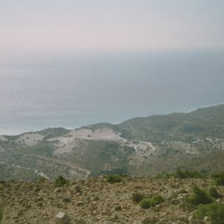 Kos36