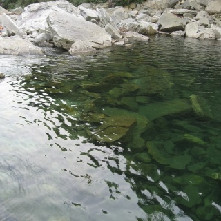 Maggiatal_015