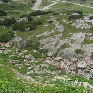 Maggiatal_047