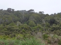neuseeland_124