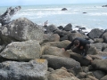 neuseeland_148