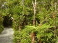 neuseeland_199