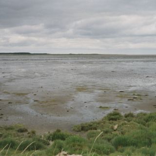 Schottland_A19