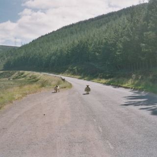 Schottland_B24
