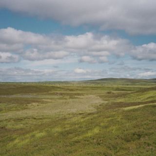 Schottland_C06
