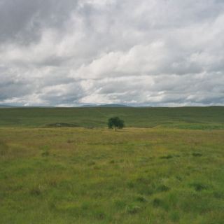 Schottland_C24