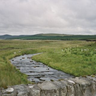 Schottland_C25