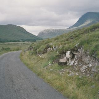 Schottland_D08
