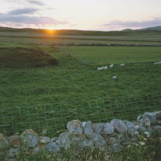 Schottland_D25