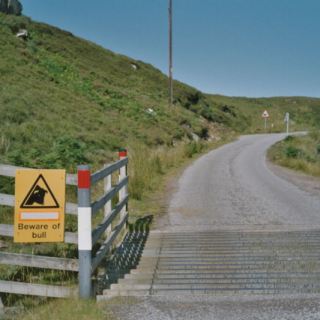 Schottland_D29