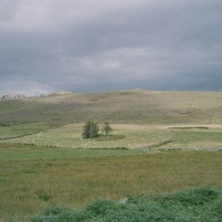 Schottland_D36