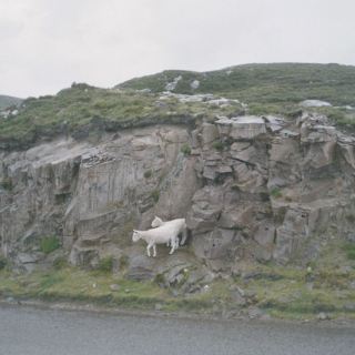 Schottland_E05