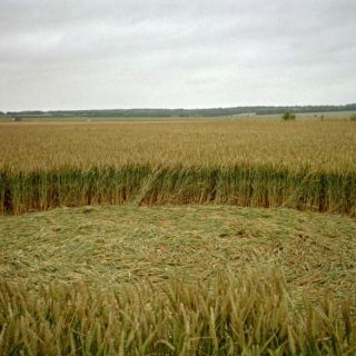 England_B11