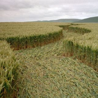 England_C01