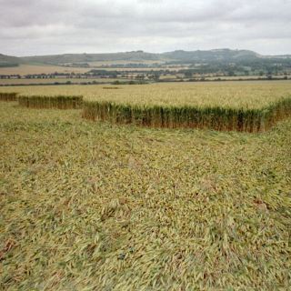 England_C03