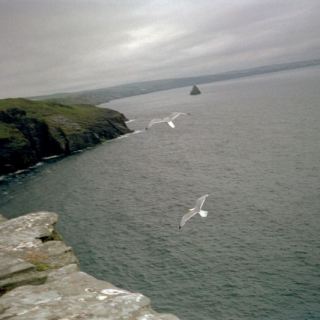 England_D23