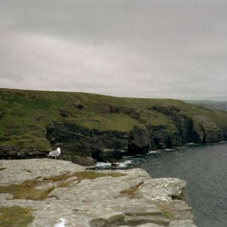 England_D24