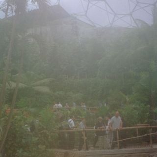 England_D35
