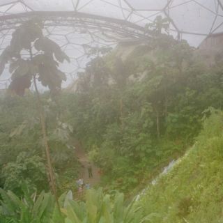 England_D37