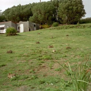 England_E14