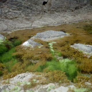England_E16